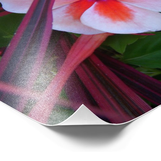 Foto bloemen afdruk (Hoek)