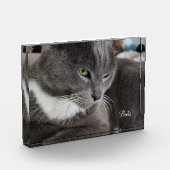 Foto blok van je huisdier (Links)