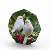 Foto Blokkeren (Rechts)