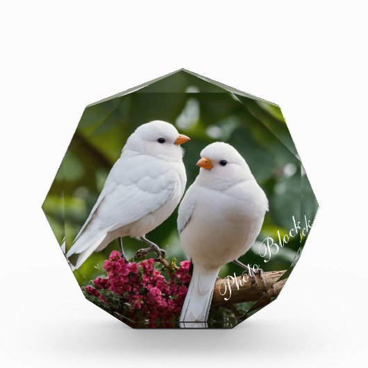 Foto Blokkeren (Voorkant)