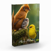 Foto Blokkeren (Links)