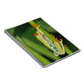Foto boomkikker notitieboek (Rechterzijde)