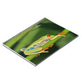 Foto boomkikker notitieboek (Linkerzijde)