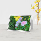 Foto Bord roze klimmende Rozen met groene olie Kaart (Gele Bloem)
