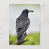  Foto Briefkaart (Voorkant)