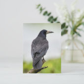  Foto Briefkaart (Staand voorkant)