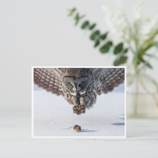  Foto Briefkaart (Staand voorkant)