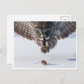  Foto Briefkaart (Voorkant / Achterkant)