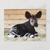  Foto Briefkaart (Voorkant)