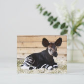  Foto Briefkaart (Staand voorkant)