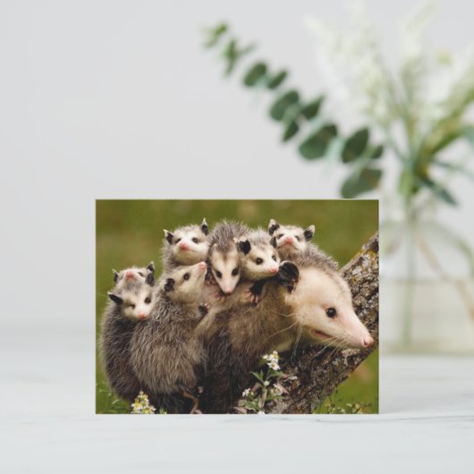  Foto Briefkaart (Staand voorkant)