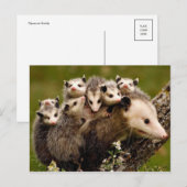  Foto Briefkaart (Voorkant / Achterkant)