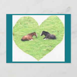 Foto Briefkaart 5 Paardenliefde - Natural Beauty