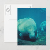 Foto-Briefkaart beheren Briefkaart (Voorkant / Achterkant)