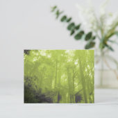 Foto briefkaart "De geest in de bomen" (Staand voorkant)