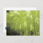 Foto briefkaart "De geest in de bomen" (Voorkant / Achterkant)