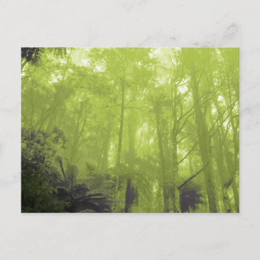 Foto briefkaart "De geest in de bomen" (Voorkant)