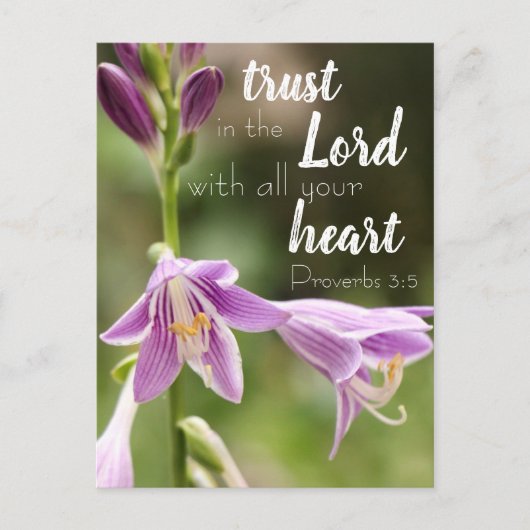 Foto Briefkaart 'Trust in the Lord' (Voorkant)