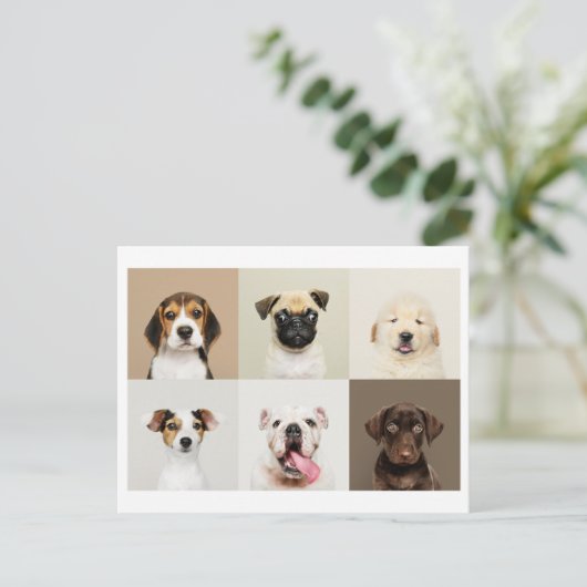 Foto Briefkaart van Schattigee Puppies (Staand voorkant)