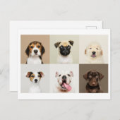 Foto Briefkaart van Schattigee Puppies (Voorkant / Achterkant)