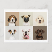Foto Briefkaart van Schattigee Puppies (Voorkant)