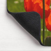 Foto Bright Poppies Sluiten Muismat (Hoek)