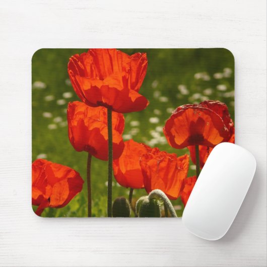 Foto Bright Poppies Sluiten Muismat (Met muis)