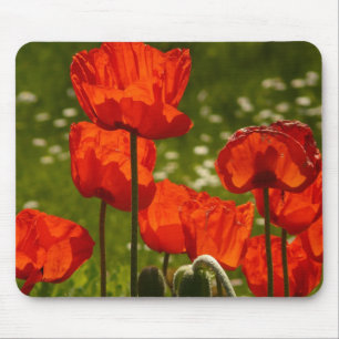 Foto Bright Poppies Sluiten Muismat