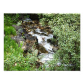 Foto brook Babbling Afdruk (Voorkant)