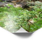 Foto brook Babbling Foto Afdruk (Hoek)