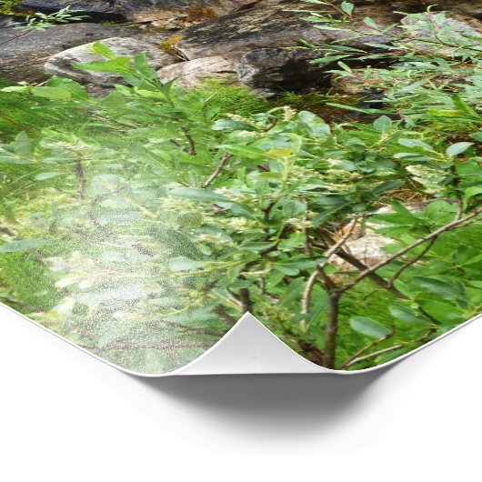 Foto brook Babbling Foto Afdruk (Hoek)