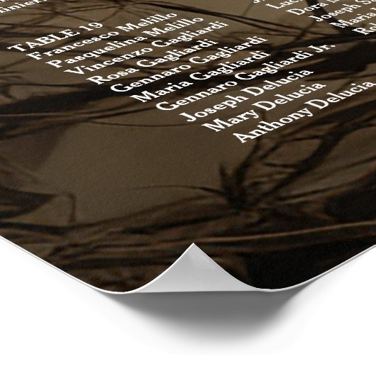 Foto bruiloft zitkaart elegante zitplattegrond poster (Hoek)