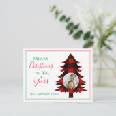 Foto Buffalo: kerstboom rood groen Briefkaart (Staand voorkant)