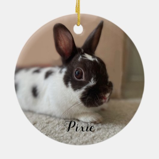 Foto Bunny Pet Memorial Keramisch Ornament (Achterkant)