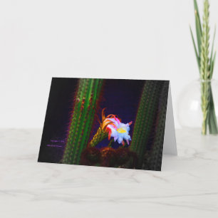 Foto "Cactus Flower at Sunset #105" Kaart