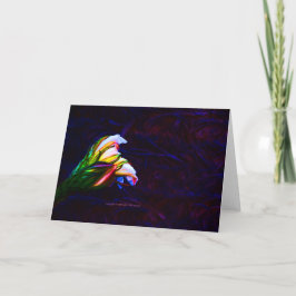 Foto "Cactus Flower at Sunset #85" Kaart