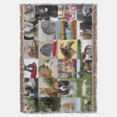 FOTO CADO'S MOEDER VADER OMA OPA HUISDIEREN VRIEND DEKEN (Voorkant Verticaal)