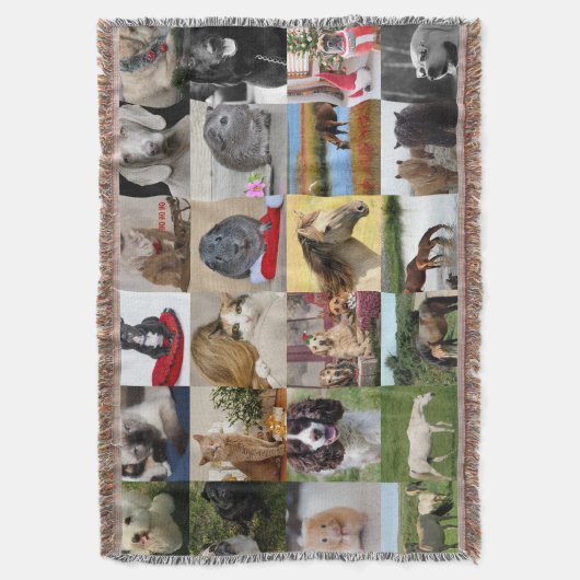 FOTO CADO'S MOEDER VADER OMA OPA HUISDIEREN VRIEND DEKEN (Voorkant Verticaal)