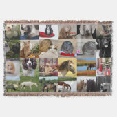 FOTO CADO'S MOEDER VADER OMA OPA HUISDIEREN VRIEND DEKEN (Voorkant)