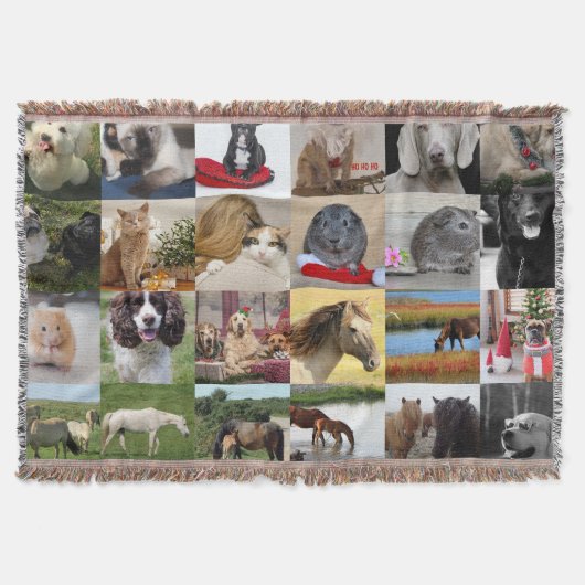 FOTO CADO'S MOEDER VADER OMA OPA HUISDIEREN VRIEND DEKEN (Voorkant)