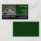 Foto: Canada Gese met Goslings Visitekaartje (Voorkant / Achterkant)