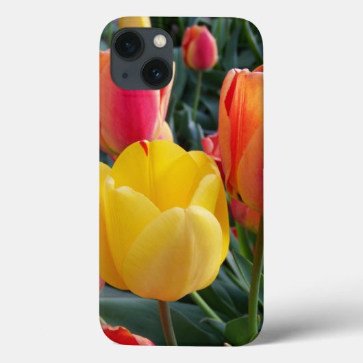 Foto Case-Mate iPhone Case (Achterkant)