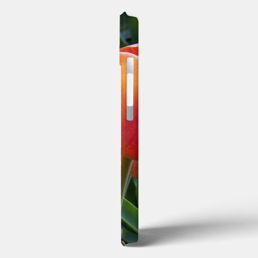 Foto Case-Mate iPhone Case (Achterkant / Links)