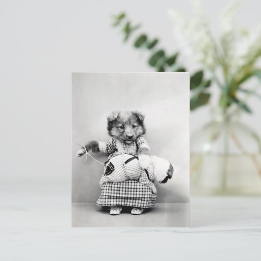 Foto  chien briefkaart (Staand voorkant)