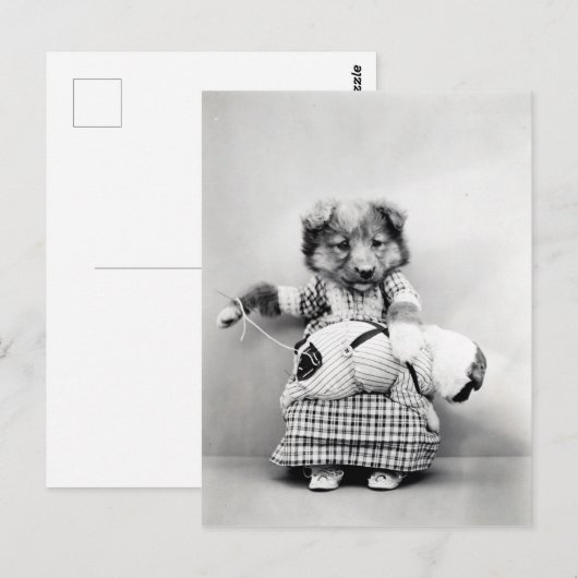 Foto chien briefkaart (Voorkant / Achterkant)