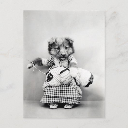 Foto  chien briefkaart (Voorkant)