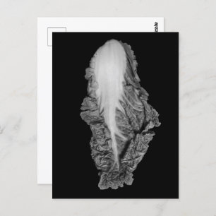 Foto Chinese kool-portret Briefkaart