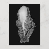 Foto Chinese kool-portret Briefkaart (Voorkant)