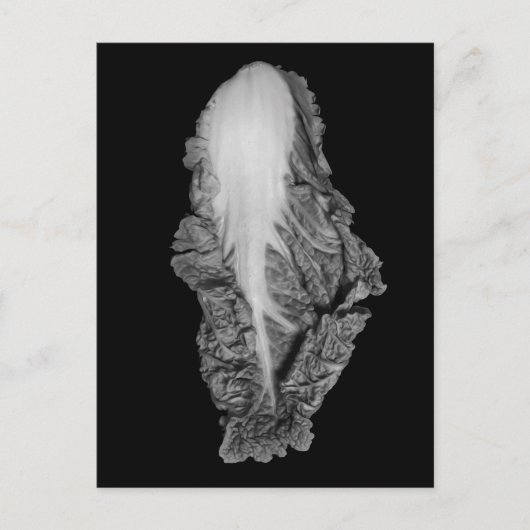 Foto Chinese kool-portret Briefkaart (Voorkant)