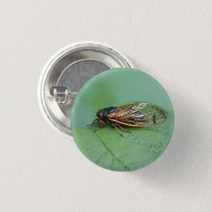 Foto Cicada Ronde Button 3,2 Cm
